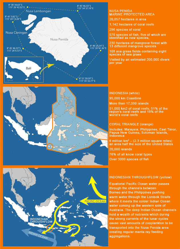 Nusa Penida Marine Protected Area