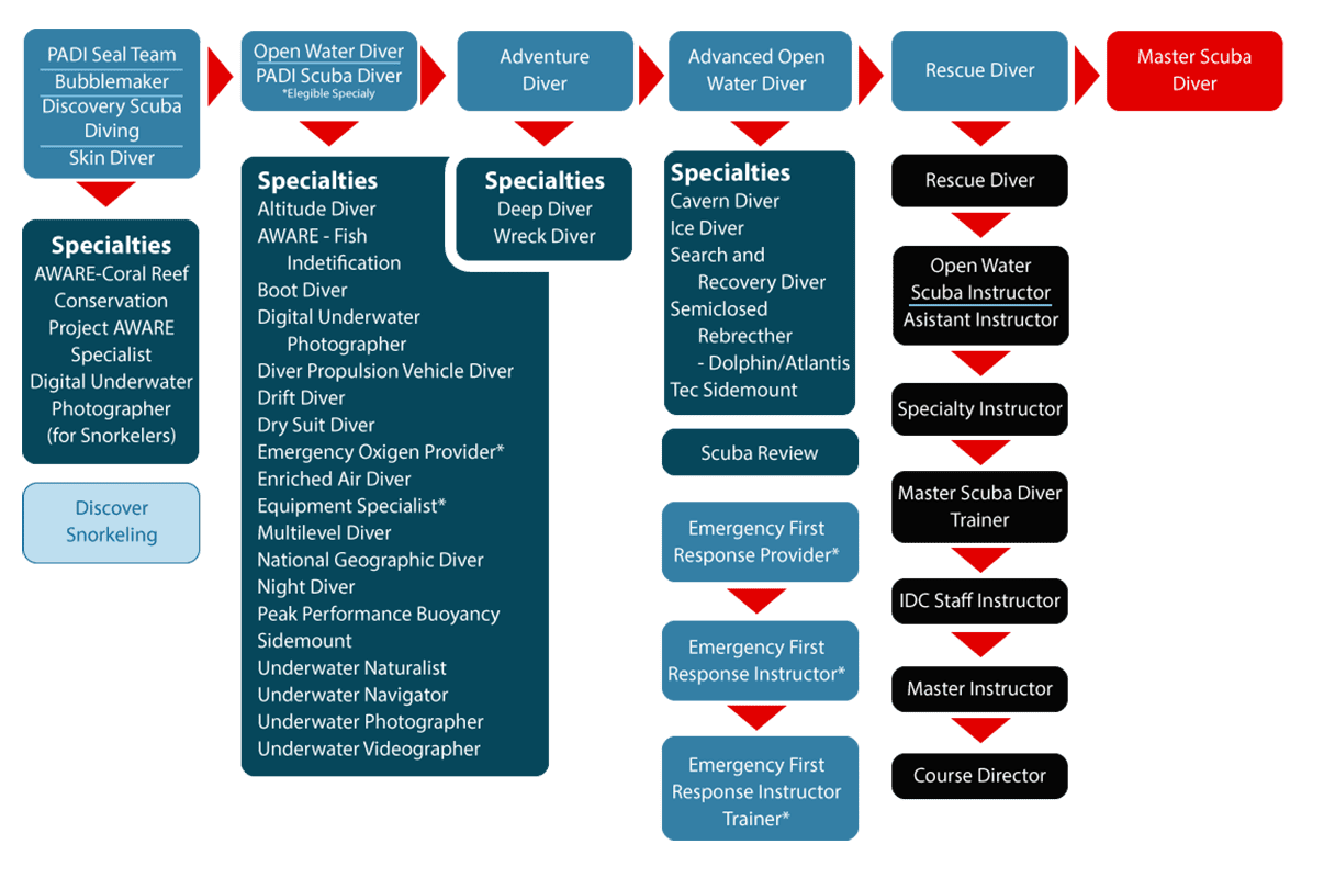 Special instructions. Padi курсы. Пади дайвинг. Система Padi. Схема курсов Пади.