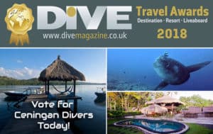 Dive AWARDS 2018