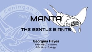 manta