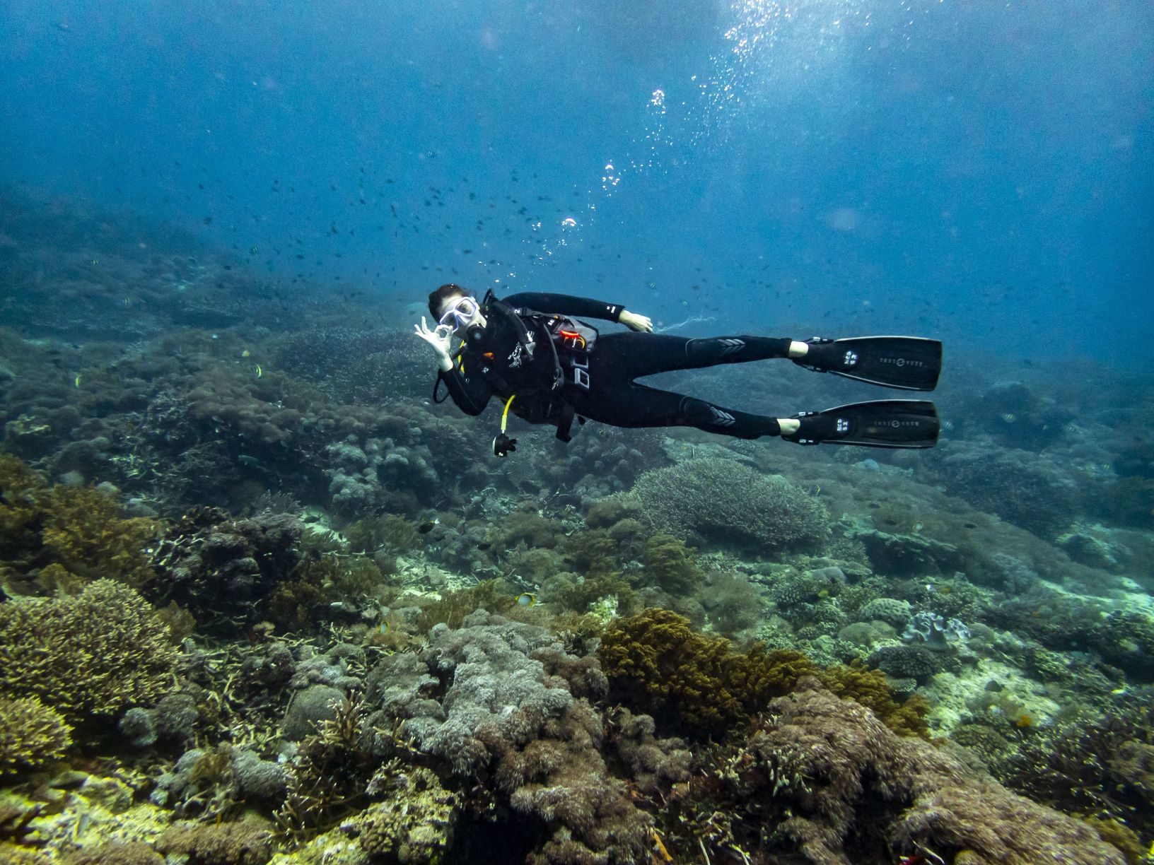 Diving Dos and Don'ts: Impact Of Scuba Diving On Coral Reefs – Green Fins