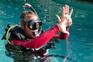 PADI 5 Star Dive Resort