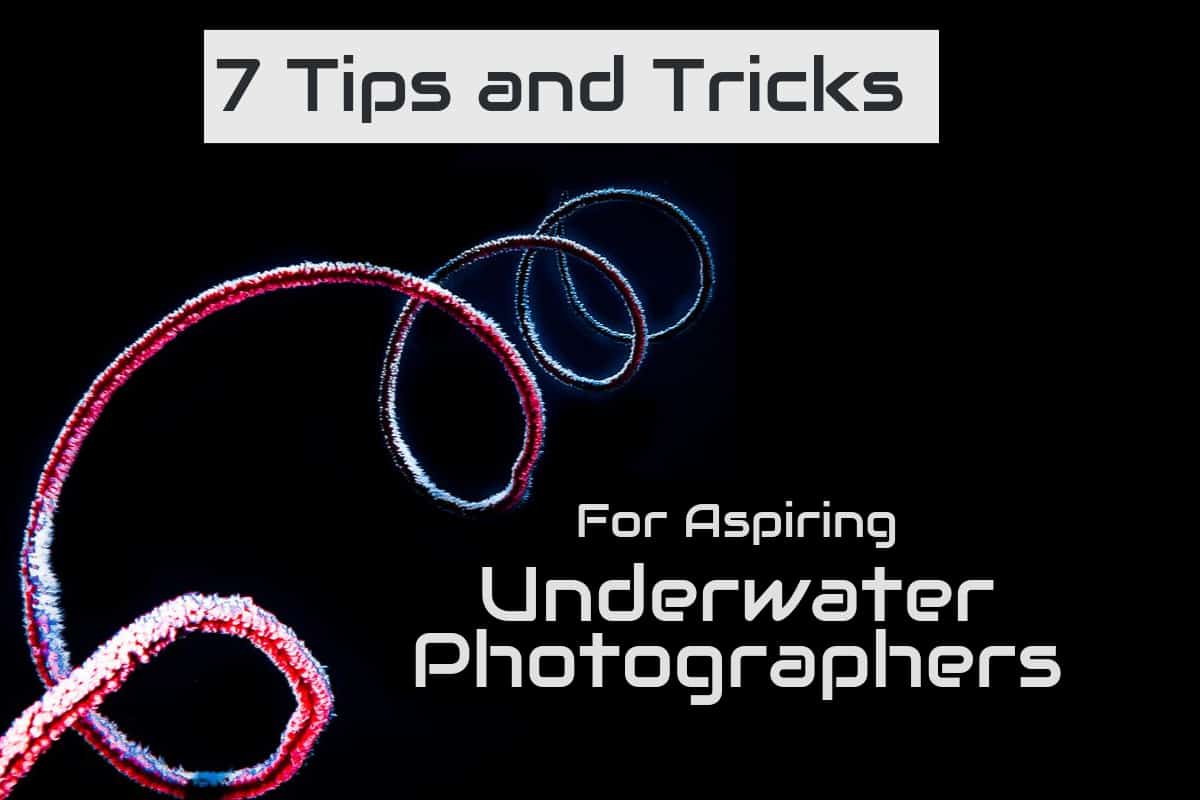 7-tips-photography