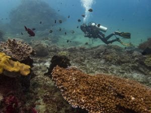 award-winning eco-friendly diving experience