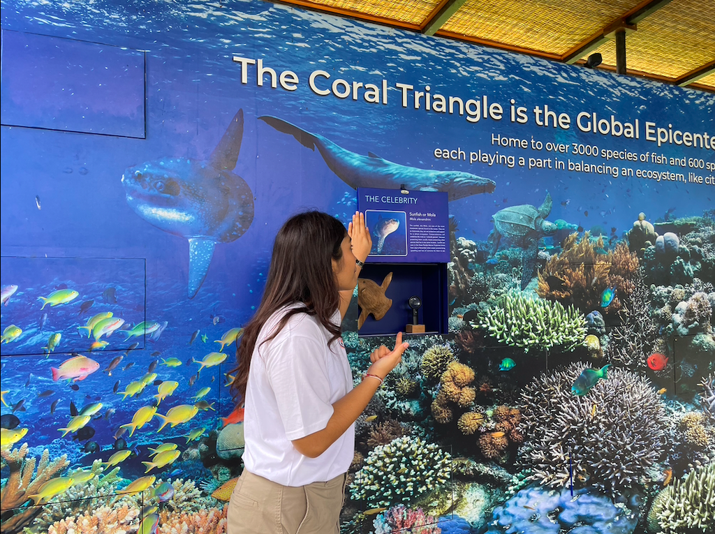 Ceningan Divers Team Outing - Coral Triangle Center