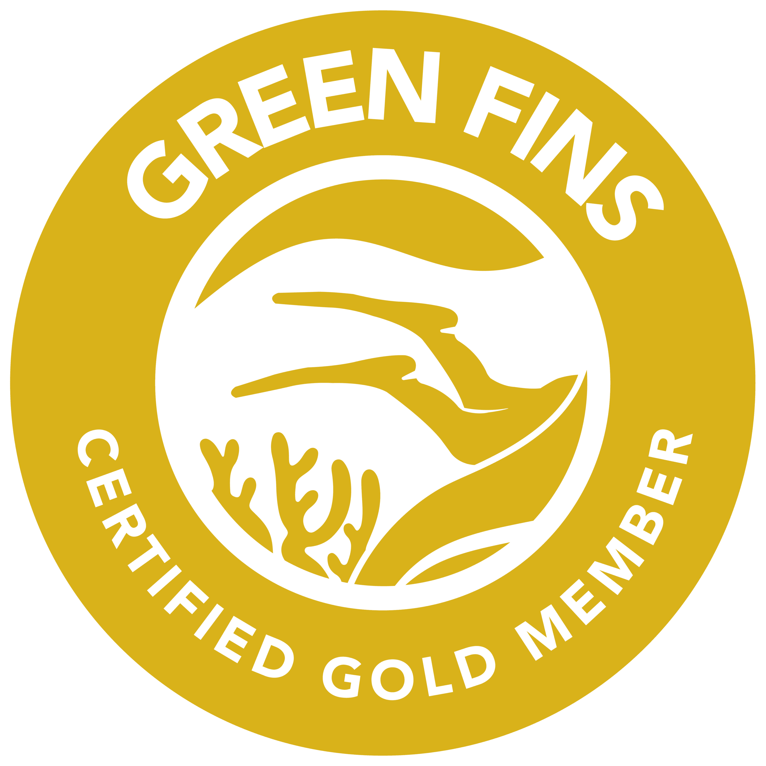 Green Fins Gold Member Ceningan Divers