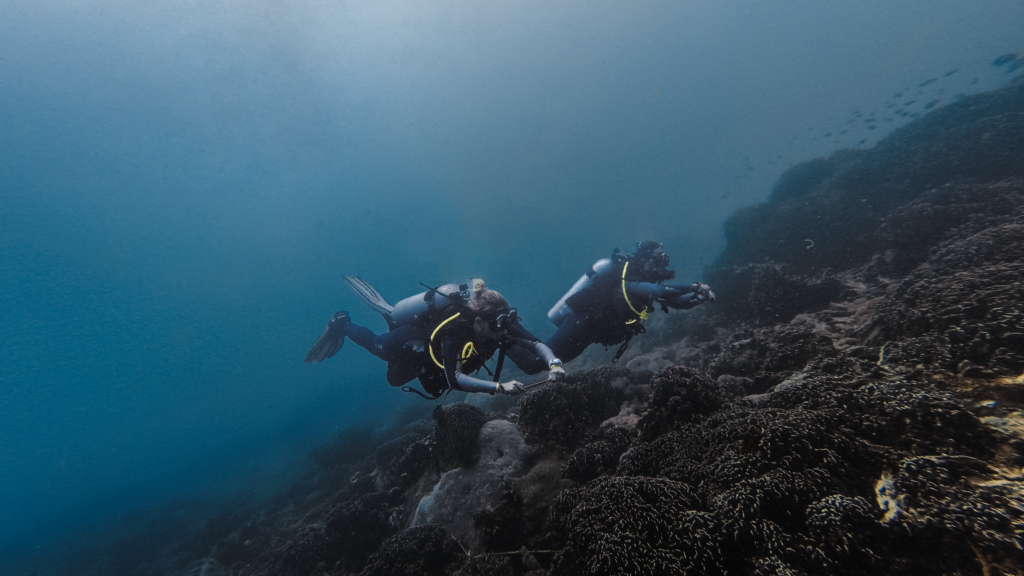 Planning a scuba diving trip to Nusa Lembongan or Bali? Here are some essential packing tips and hacks for your Scuba Diving Trip to ensure you're prepared for your underwater adventures!