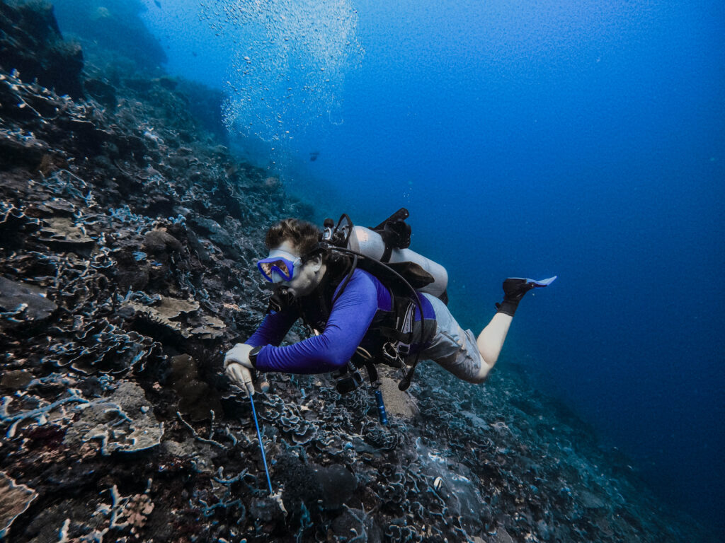 From thrilling cliff jumps to serene beach escapes, Nusa Ceningan Island promises an unforgettable journey filled with exploration and discovery. So, pack your bags, embark on an adventure, and let the wonders of this enchanting island captivate your heart.