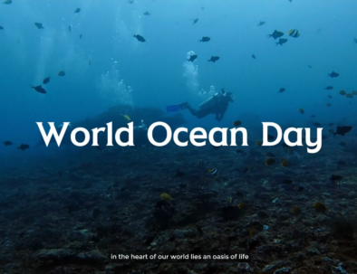 On June 8th, the global community came together to celebrate World Ocean Day, a day dedicated to honoring and protecting our magnificent oceans. The ocean, with its vastness and mystery, holds a special place in our hearts. It's not just a source of wonder and adventure; it's the lifeblood of our planet, providing us with oxygen, food, and countless resources.