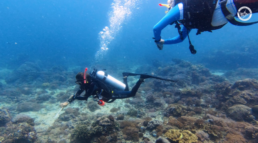 Are you ready to embark on a thrilling underwater journey and explore the vibrant marine world? Look no further than Ceningan Divers' PADI Open Water Diver Course, where you'll learn the fundamentals of scuba diving and unlock a whole new realm of adventure beneath the waves. Join us as we dive into the details of this exciting program and discover why Ceningan Divers is your ultimate destination for dive education and exploration.