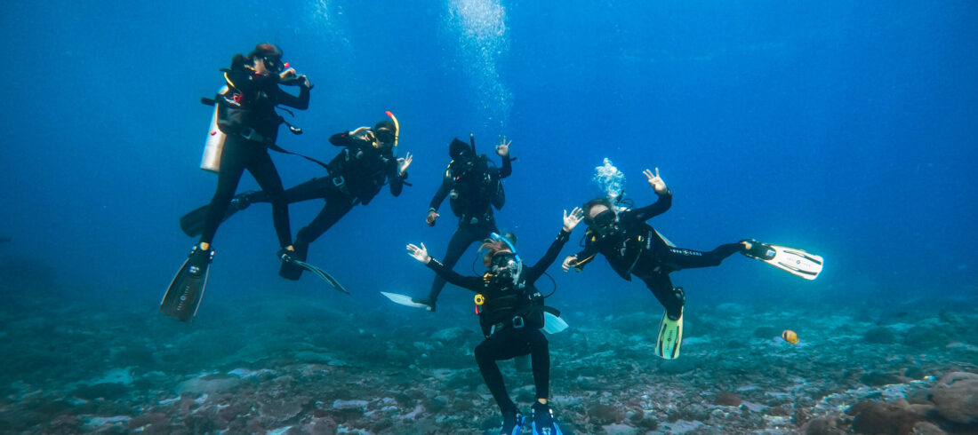 PADI IDC