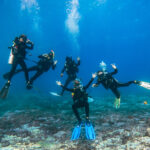 PADI IDC
