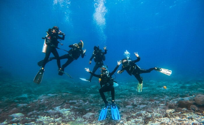 PADI IDC