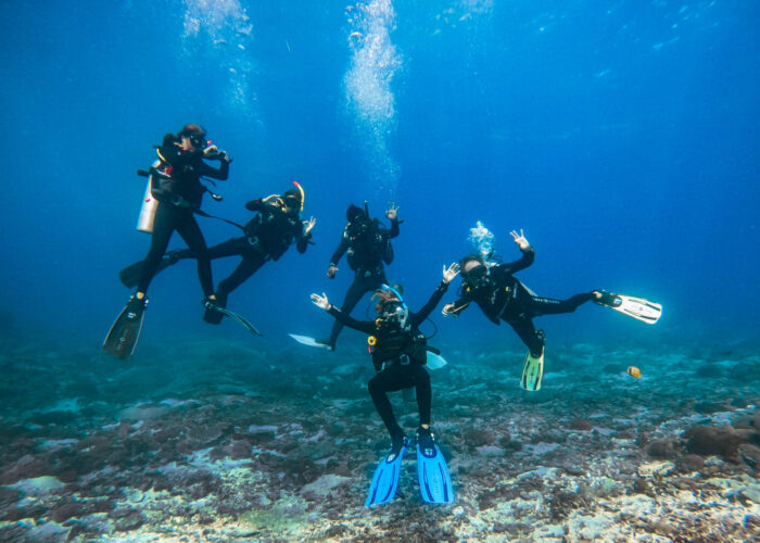 PADI IDC