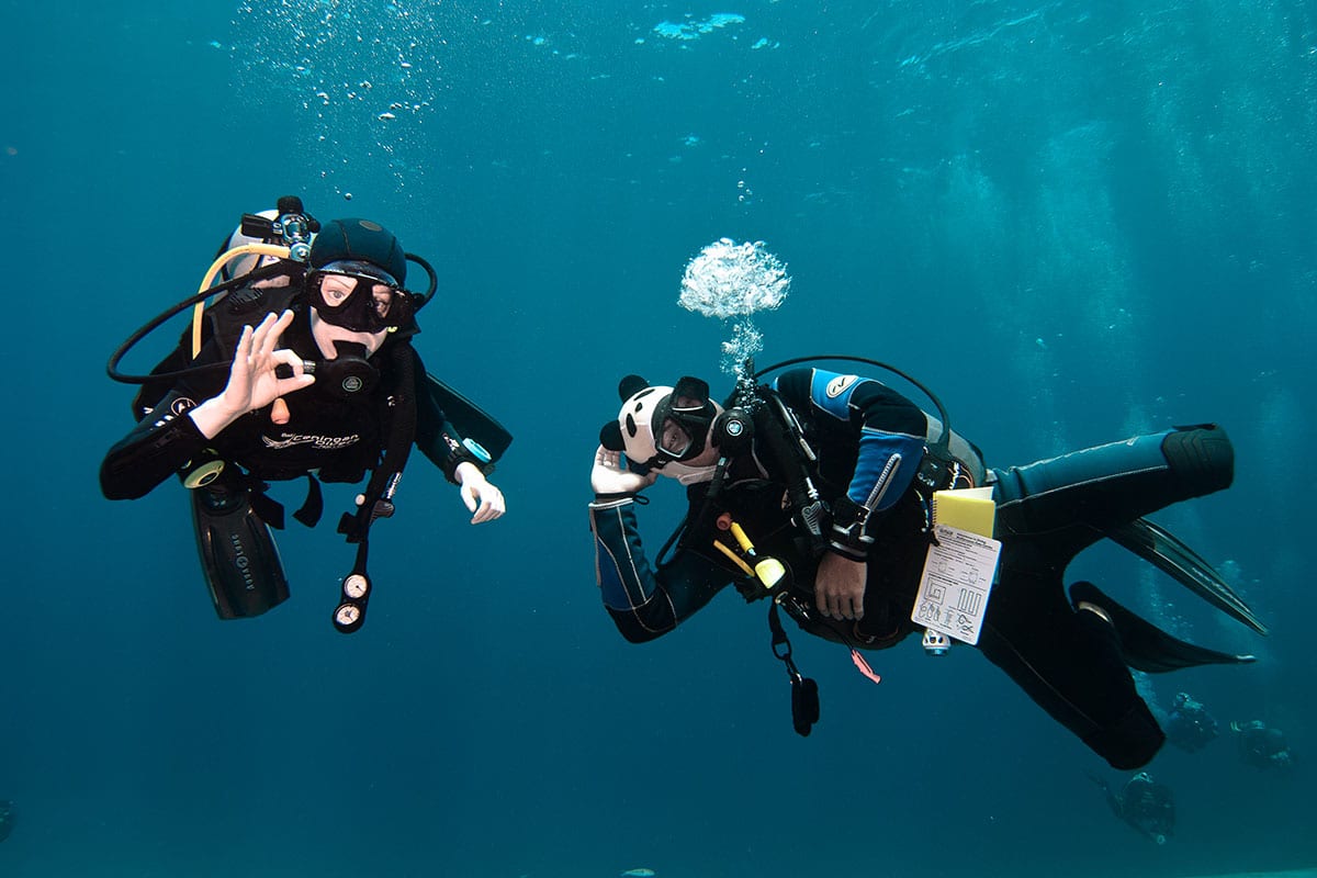 PADI LEARN & STAY PACKAGE <br> AOW COURSE